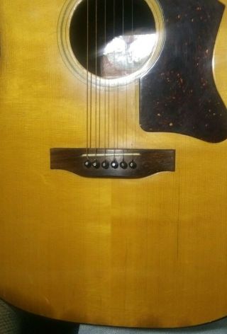 Vintage 1975 Gibson J - 55 Natural Dreadnought Acoustic 3
