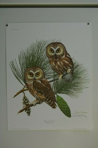 9 Vintage Animal Prints,  Owls,  1970s Signed & Numbered,  Guy Coheleach,  Ray Harm