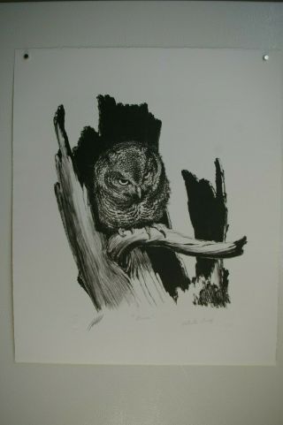 9 vintage animal prints,  Owls,  1970s signed & numbered,  Guy Coheleach,  Ray Harm 2