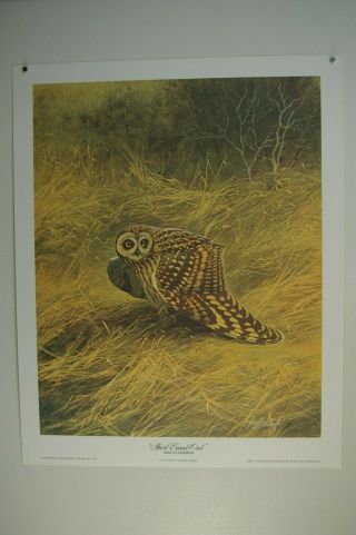 9 vintage animal prints,  Owls,  1970s signed & numbered,  Guy Coheleach,  Ray Harm 3