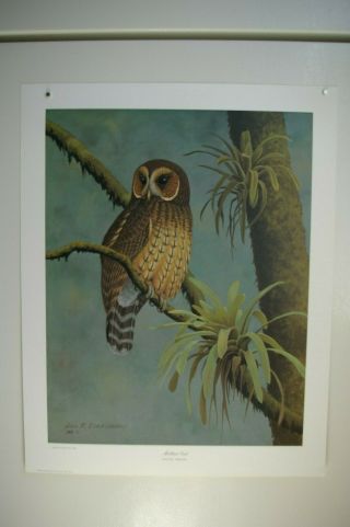9 vintage animal prints,  Owls,  1970s signed & numbered,  Guy Coheleach,  Ray Harm 6