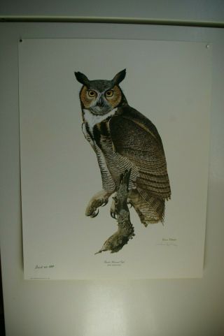 9 vintage animal prints,  Owls,  1970s signed & numbered,  Guy Coheleach,  Ray Harm 8