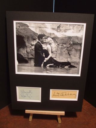 La Dolce Vita Marcello Mastroianni Anita Ekberg Vintage Signed Display