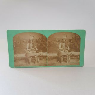 Antique Stereoview Of Sioux Chief Thunder Hawk,  Hamilton&hoyt,  Ca.  1872