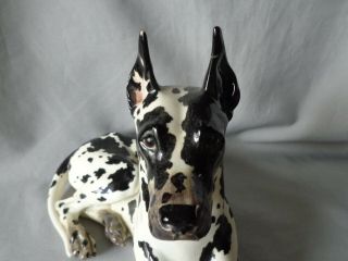 Vintage c1945 Gort Bone China GREAT DANE Figurine Large 14.  5 