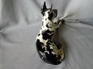 Vintage c1945 Gort Bone China GREAT DANE Figurine Large 14.  5 