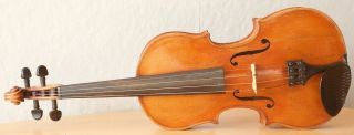 Very Old Labelled Vintage Violin " Carlo Tononi 1729 " Fiddle 小提琴 ヴァイオリン Geige