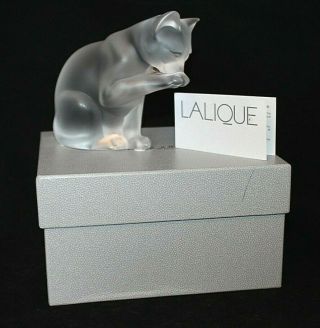 Vintage Lalique France Grooming Cat Frosted Clear Glass Figurine Orig Box Kitten