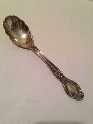Tiffany & Co.  Richelieu (1892) Sterling Silver Sugar Spoon - No Monograms