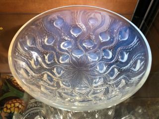 A Stunning And Rare Rene Lalique " Bulbes " Pattern Opalescent Glass Bowl C1935