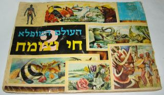 Israel Israeli Hebrew Vintage Cards Album העולם המופלא Stickers 2 Missing