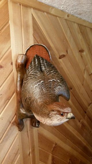 Red - tailed Hawk Wood Carving Birds of Prey Duck Decoy Casey Edwards 3