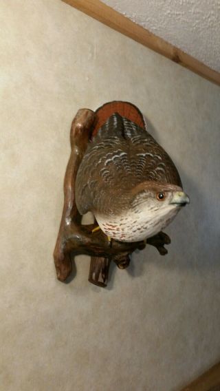Red - tailed Hawk Wood Carving Birds of Prey Duck Decoy Casey Edwards 6
