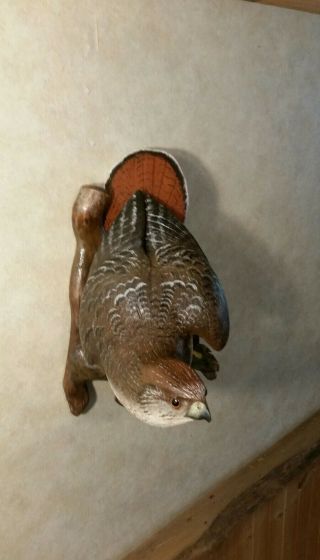 Red - tailed Hawk Wood Carving Birds of Prey Duck Decoy Casey Edwards 7