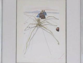 Salvator Dali Signed & Numbered 56 Of 150 Vintage Lithograph Print 2