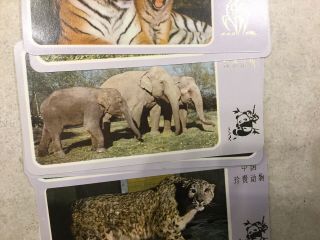 Panda Chinese Zoo Cards Very Rare And Unique 5
