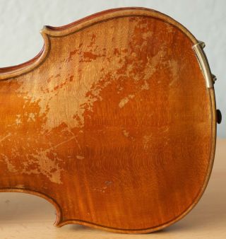 old violin 4/4 geige viola cello fiddle label TOMASO EBERLE 10