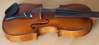 old violin 4/4 geige viola cello fiddle label TOMASO EBERLE 11