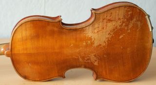 Old Violin 4/4 Geige Viola Cello Fiddle Label Tomaso Eberle