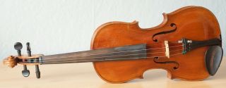 old violin 4/4 geige viola cello fiddle label TOMASO EBERLE 2