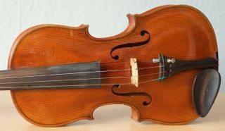 old violin 4/4 geige viola cello fiddle label TOMASO EBERLE 3