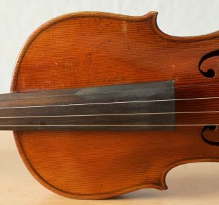 old violin 4/4 geige viola cello fiddle label TOMASO EBERLE 4