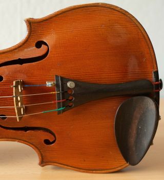 old violin 4/4 geige viola cello fiddle label TOMASO EBERLE 6