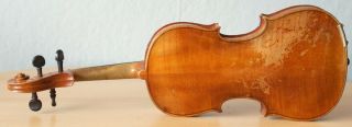 old violin 4/4 geige viola cello fiddle label TOMASO EBERLE 7