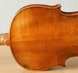 old violin 4/4 geige viola cello fiddle label TOMASO EBERLE 8