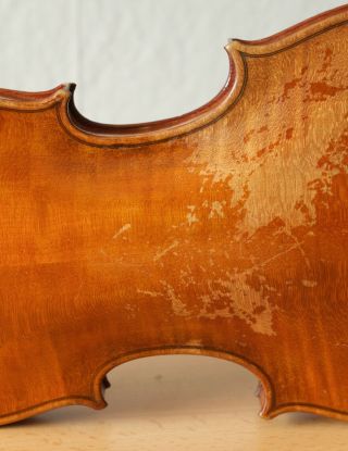 old violin 4/4 geige viola cello fiddle label TOMASO EBERLE 9