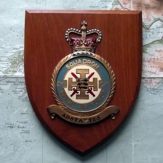 Old Vintage Raf Royal Air Force Cx1 111 Squadron Station Crest Shield Plaque
