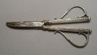 Old Hallmarked Dutch Silver Handled Grape Shears Scissors 5 - 1/2 " Long