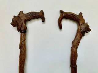 Designer Wooden Cane - Bear - Hand - Made Carved Antique Walking Stick - $150/each