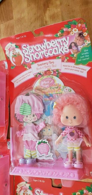 5 VINTAGE 1991 THQ STRAWBERRY SHORTCAKE BERRY DOLLS IN PACKAGE 3