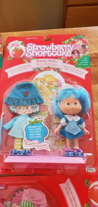 5 VINTAGE 1991 THQ STRAWBERRY SHORTCAKE BERRY DOLLS IN PACKAGE 6