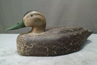 American Black Duck Decoy - Antique/vintage Wood Large Female Green Bill