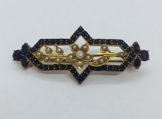 Antique Victorian Gold Plated Red Garnet & Seed Pearl Pin