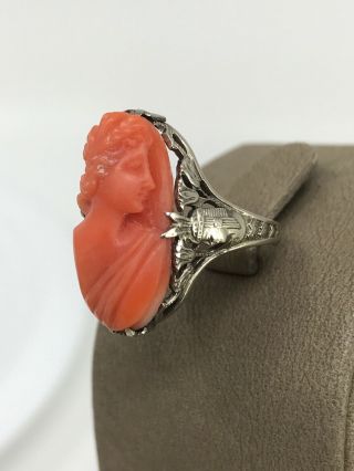 Antique Victorian 14k White Gold Carved Coral Cameo Ring 5
