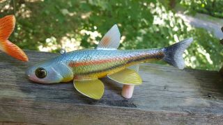 Deluxe Rainbow Fish Decoy Carved By John Laska - Collect Or Great Worker