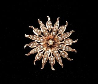 Antique Victorian 10k Solid Yellow Gold Seed Pearl Sunburst Brooch Pendant