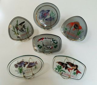 Vintage Tetra Wonderful World Of Tropical Fish Enameled Glass Display Plates (6)