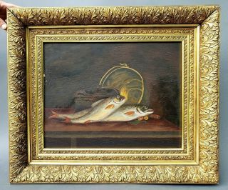 Great Antique Victorian Primitive Oil Painting On Board Of Fish In Gilt Frame