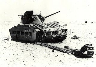 Wwii English Uk Tank - Matilda - Africa - Large (9.  25 X 7.  25) Private Archive Photo
