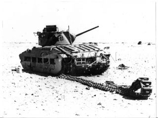 WWII English UK Tank - Matilda - Africa - Large (9.  25 x 7.  25) Private Archive Photo 2