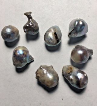 VINTAGE Mississippi River Pearls 8 Pearls Weigh 7.  7 grams RARE Collectors Find 2