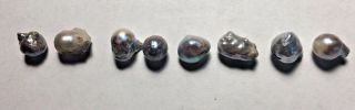 VINTAGE Mississippi River Pearls 8 Pearls Weigh 7.  7 grams RARE Collectors Find 3