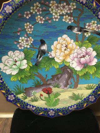 Rare Vintage Chinese Cloisonne Art Zi Jin Chen Plate Flowers Birds Estate