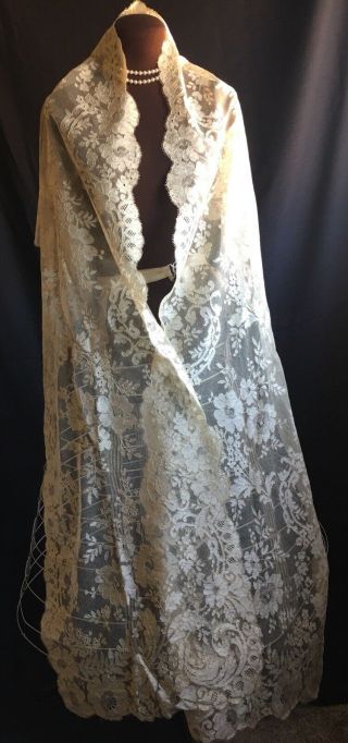 1860s Antique Princess Lace Dress Shawl Florals
