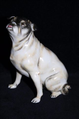 Offer Rare Nymphenburg Porcelain Figurine Pug Dog Luise Terletzki Scherf Figure
