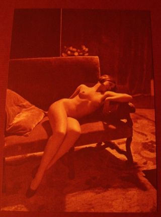 Vintage Photo Sexy Louise Brooks Museum Find Dark Red Sensual Daring